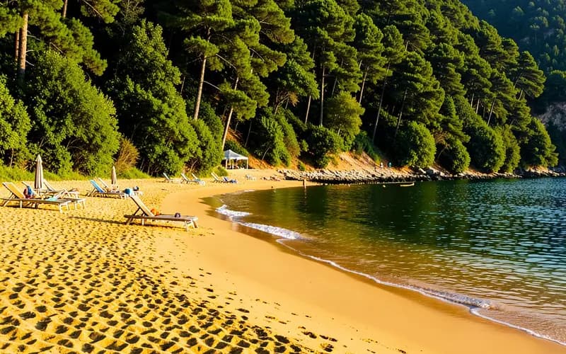 Tiara Beach